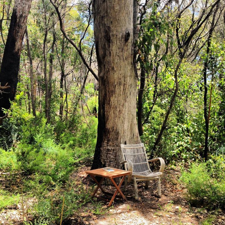 Bed and Breakfast Wilderness House Margaret River Номер фото