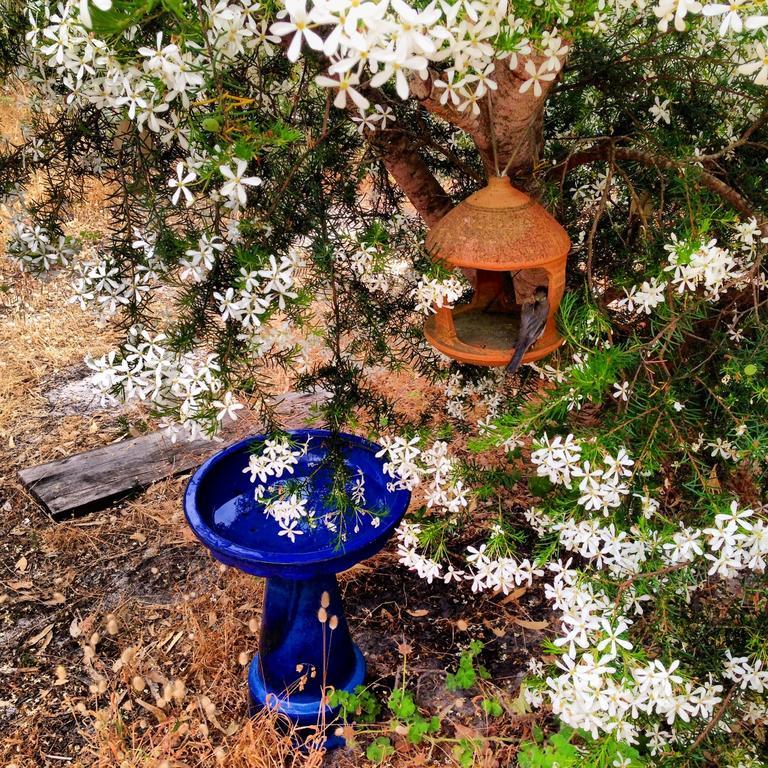Bed and Breakfast Wilderness House Margaret River Номер фото